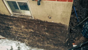 Rob Cummings Contracting in Newmarket - Comprehensive Wall Repairs - Gallery 1
